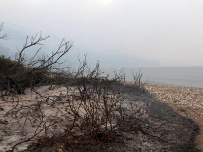 Καμμένη γη η βόρεια Εύβοια- Μεγάλη η καταστροφή