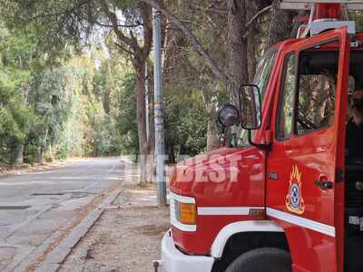 Πάτρα: Απαγόρευση κυκλοφορίας σήμερα λόγ...