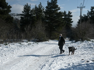 Κακοκαιρία Μήδεια: Καρέ καρέ η επιδείνωσ...