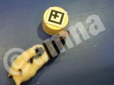 Avatar μεταξύ ανθρώπων και ζώων;