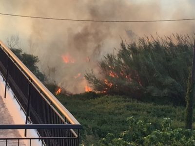 Οριοθετήθηκε στο μεγαλύτερο μέρος η πυρκ...
