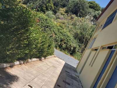 Πάτρα: Τα χόρτα ... "έπνιξαν" ...