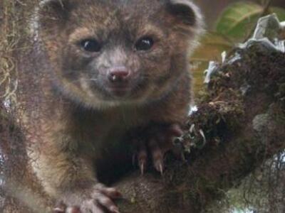 18.000 νέα είδη χλωρίδας και πανίδας ανα...