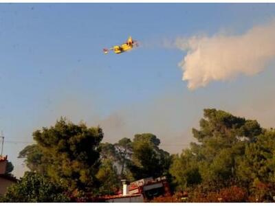 ΣΥΡΙΖΑ: Βορά στις διαθέσεις των καταπατη...