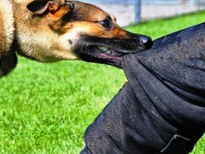 Τρίπολη: Από θαύμα σώθηκε μαθητής από επ...