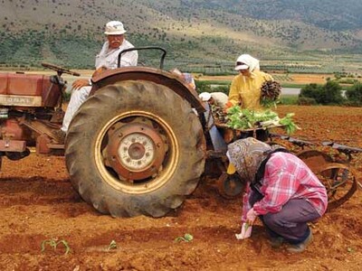 Επαγγελματική ταυτότητα αποκτούν οι αγρότες