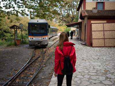 Κινητοποίηση για τη σωτηρία του Οδοντωτο...
