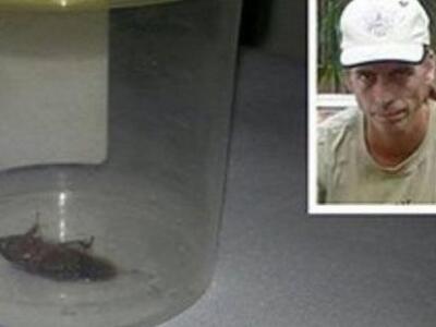 Γιατροί αφαίρεσαν κατσαρίδα από το αυτί Αυστραλού