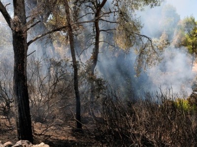 Κλιμάκιο αστυνομίας και πυροσβεστικής στ...