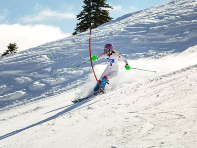 Υψηλές πληρότητες σε όλους τους χειμεριν...