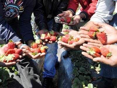 Περιφέρεια Δυτ. Ελλάδας: Αίτημα ενίσχυση...