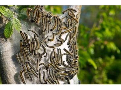 Σε απόγνωση οι κάτοικοι του Αγρινίου από...
