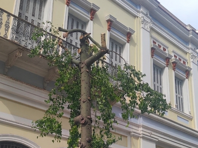 Πάτρα: Καμπανάκι από τους αρχιτέκτονες γ...