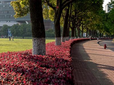 Δρόμος (Γιοκοχάμα Τόκιου)