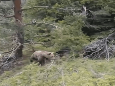 Δράμα: Βίντεο ντοκουμέντο από την τραγικ...