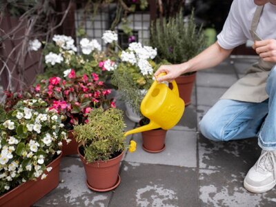 Πότισμα: Το έξυπνο κόλπο για να μην μαρα...