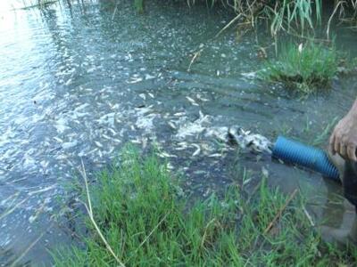 Αιτωλοακαρνανία: Με επιτυχία η μεταφορά ...