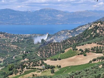 ΦΩΤΟ Εφημερίδα "Φιλόδημος" Αιγίου
