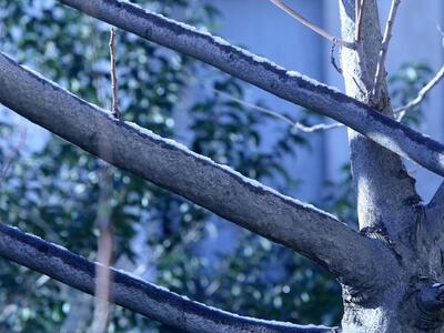 Ο καιρός αγριεύει από αύριο και στέλνει ...