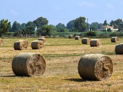 Δήμος Πατρέων: Ήρθε το μίσθωμα για τους ...