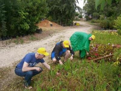 Ήρθαν στην Πάτρα τρεις Πολωνοί εθελοντές...