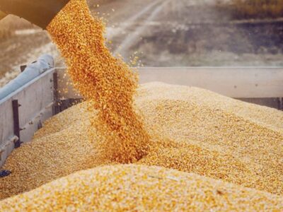 Ουκρανία: Μείωση 40% στη συγκομιδή σιτηρ...