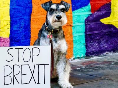 Wooferendum: Οι σκύλοι διαδηλώνουν κατά του Brexit