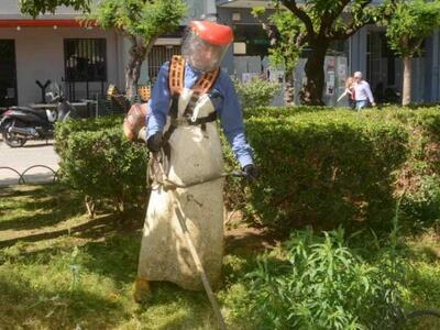 Το πρόγραμμα της Διεύθυνσης Πρασίνου του...
