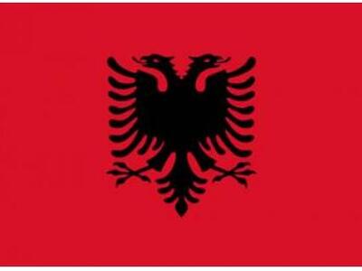 Πέταξε με τις κλωτσιές Αλβανούς έξω από ...