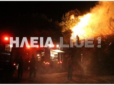 Πύργος: Σε εμπρησμό αποδίδεται η φωτιά σ...