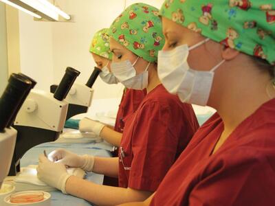 Η μοναδική λύση για την οριστική αντιμετ...