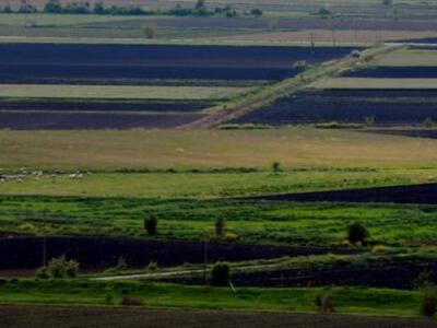 Εξιχνιάστηκε κλοπή σε αγροτική περιοχή στον Πύργο