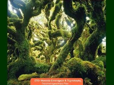 Πάτρα: «Προστατεύουμε το Δάσος»- Εκδήλωσ...