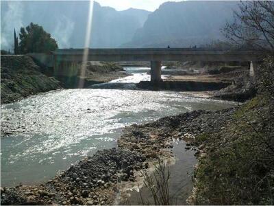 Ολοκληρωμένη γέφυρα Βουραϊκού