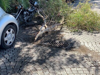 Πάτρα: Κλαδί από δένδρο έπεσε πάνω σε μη...