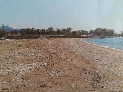 Ακταίο: Επιστολή των κατοίκων για το απο...