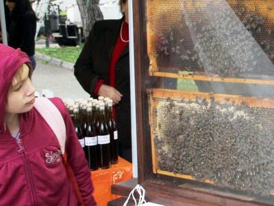 Ελληνικό μέλι το «καλύτερο φυσικό τρόφιμ...