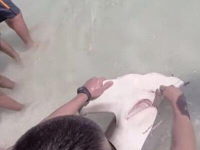 Φλόριντα: Βούτηξε στα νερά για να σώσει ...