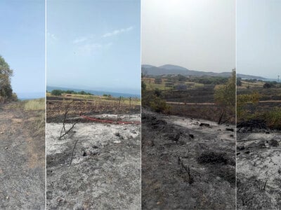 Βόνιτσα: Οριοθετήθηκε η πυρκαγιά στα Παλ...