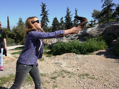 Κλείνει το Κέντρο Περίθαλψης Αγρίων Ζώων...