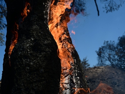 Φωτιές: Συναγερμός για κίνδυνο mega fire...