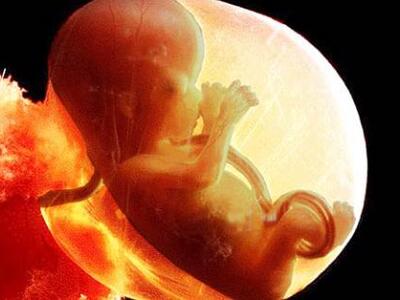 Τα έμβρυα χασμουριούνται μέσα στη μήτρα 