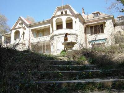 Στο "σφυρί" ό,τι μπορεί να πωλ...