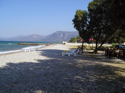 Αίγιο: Άγιο είχε 9χρονος που καρφώθηκε π...