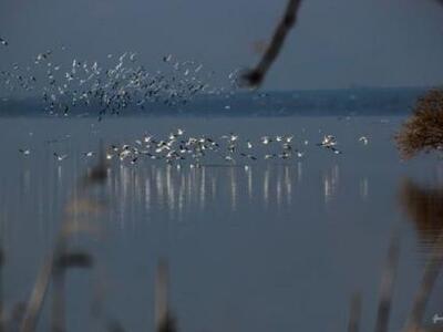 Έκθεση φωτογραφίας της Οικολογικής Κίνησ...