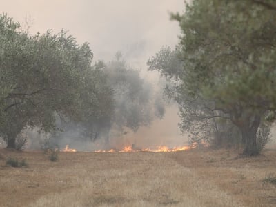 Φωτιά στη Βοιωτία: Απεγκλωβίστηκαν πατέρ...