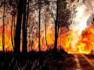 Γαλλία: Πυρομανής πυροσβέστης έβαζε φωτι...