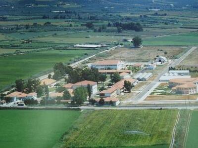 Σε άνοδο το Τ.Ε.Ι. Μεσολογγίου