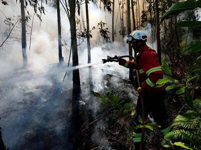 Πύργος: Φωτιά σε καλαμιές στον Αγ. Ιωάννη