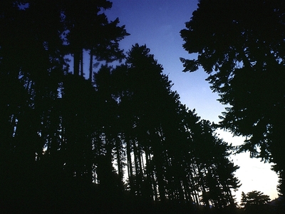 Η αξιοποίηση του Ερύμανθου και η αδιαφορ...